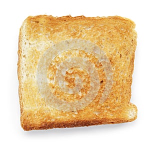 Toasted slice of white bread