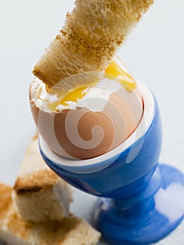 Toasted Soldier being Dipped into Boiled Egg Yolk