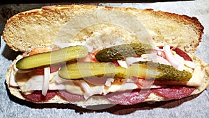 Toasted Submarine Sandwich