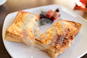 Toastie on a white plate photo