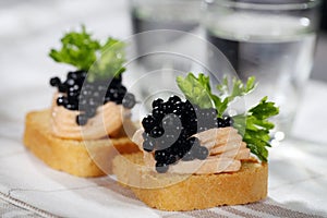 Toasts with pate and caviar