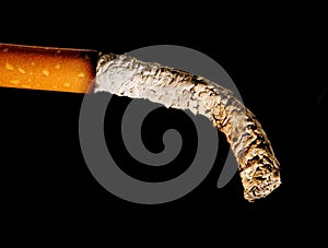 Tobacco photo