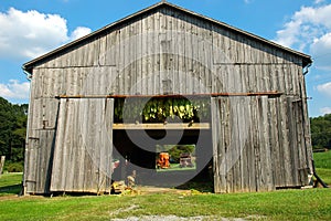 Tobacco Barn