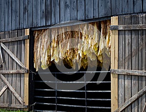 Tobacco Barn