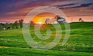 Tobacco Barn with Green Fiield at Sunset