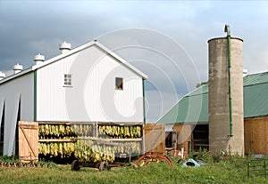 Tobacco Barn and Wagon