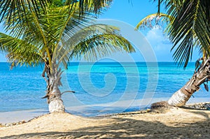 Tobacco Caye - Small tropical island at Barrier Reef with paradise beach, Caribbean Sea, Belize, Central America