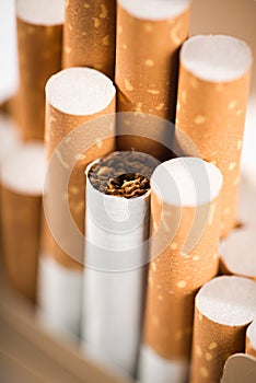 Tobacco in cigarettes with a brown filter