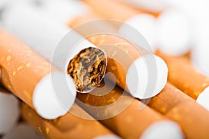 Tobacco in cigarettes