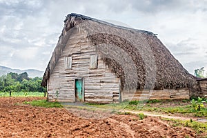 Tobacco curing barn in Pinar del Rio, Cuba