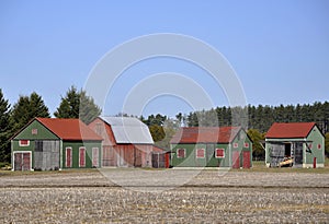 Tobacco curing barns