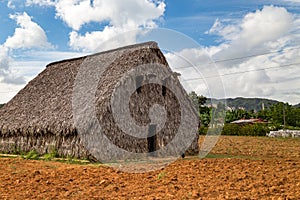 Tobacco farms in Vinales, Cuba