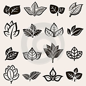 Tobacco leaf icons set. Collection icon tobacco. Vector