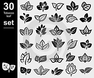 Tobacco leaf icons set. Collection icon tobacco. Vector