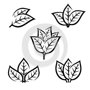 Tobacco leaf icons set. Collection icon tobacco. Vector