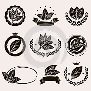 Tobacco leaf label and icons set. Vector photo