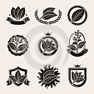 Tobacco leaf label and icons set. Vector