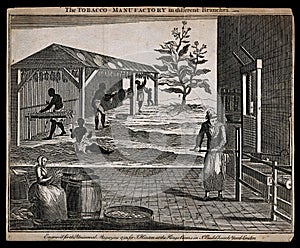 Tobacco manufactuing on plantation, circa 1750