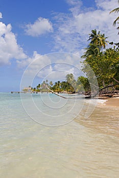 Tobago beach