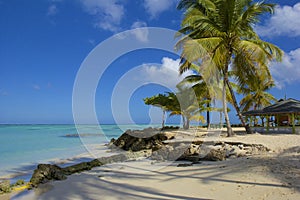 Tobago beach, Caribbean photo