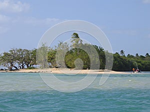 Tobago beach