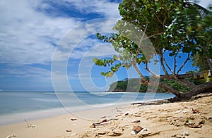 Tobago island - Mt. Irvine bay - Tropical beach of Caribbean sea