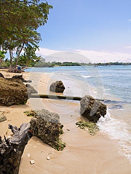 Tobago - Mt. Irvine bay - Tropical beach of Caribbean sea