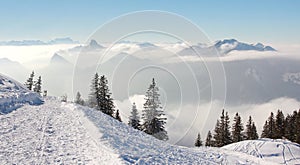 Toboggan run in wintry german alps