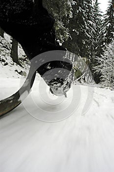 Tobogganing or sledging in winter photo