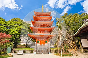 Tocho-ji temple or Fukuoka Giant Buddha temple in Fukuoka, Japan. photo