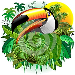 Toco Toucan Wild Exotic Bird on Tropical Jungle Vector Illustration