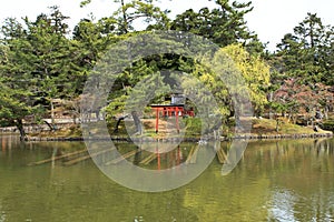 Todai-ji Temple of Nara,Japan