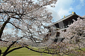 Todai-ji Temple Nara Japan