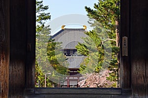 Todaiji Temple through Nandaimon Gate