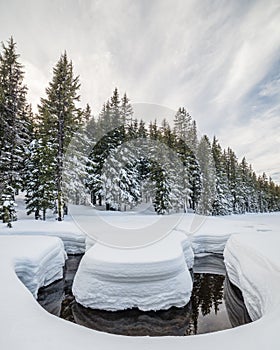 Todd Creek Winding through Snow, Deschutes National Forest, Oreg