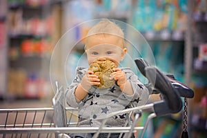 Toddler baby boy, sitting in a shopping cart in grocery store, s