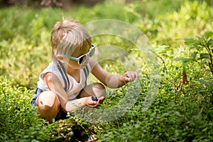 Toddler blond child, eating wild blueberries in forest