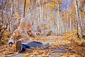 Toddler Boy in the Autumn leaves