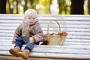 Toddler boy in autumn park