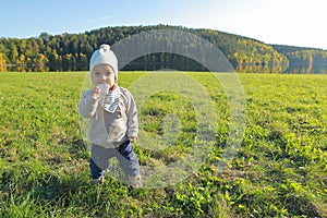Toddler boy biting bread on meadow