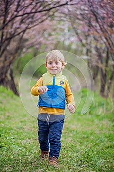 Toddler boy in blooming garden