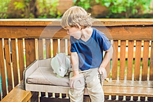 Toddler boy caresses and playing with rabbit in the petting zoo. concept of sustainability, love of nature, respect for