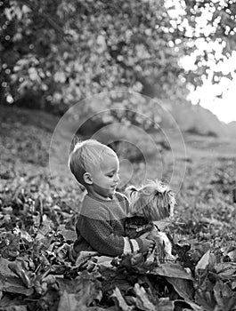 Toddler boy enjoy autumn with dog friend. Small baby toddler on sunny autumn day walk with dog. Warmth and coziness