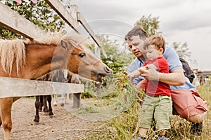 Toddler boy and his father feeding a pony at farm