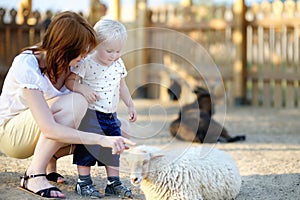 Toddler boy and his mother looking at sheep