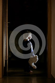 Toddler boy, hodling teddy bear, standing in hallway next to the door to bedroom, fairy tale picture