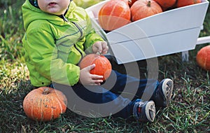 Toddler boy holding orange pumpkin and sitting near white decorative wooden cart full of orange pumpkins in the backyard