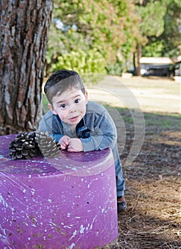 Toddler boy with a pine cone