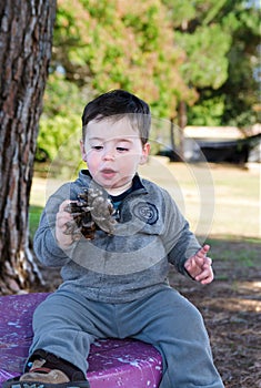 Toddler boy and a pine cone