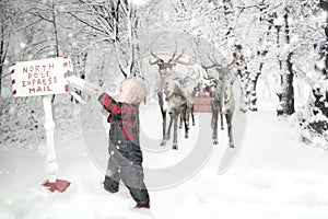 Toddler boy with Reindeer in snow